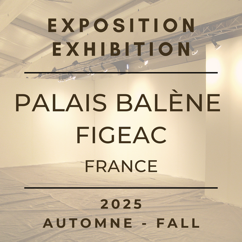 Exposition au Palais Balène - Nympheus Luminansis - Laurence Saunois, artiste