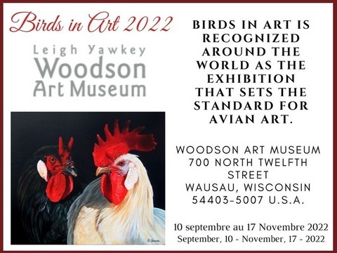 Exposition "Birds in Art 2022" - Animal Artist Laurence Saunois