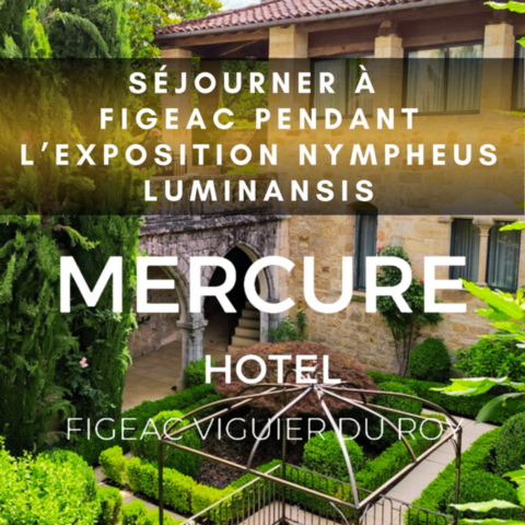 L'hôtel Mercure, Viguier du Roy est partenaire de l'exposition Nympheus Lumnansis, les nymphéas de la Lumière par Laurence Saunois