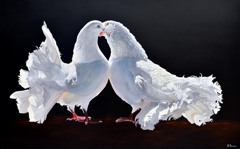 Peinture de pigeons blancs par Laurence Saunois, artiste peintre animalier