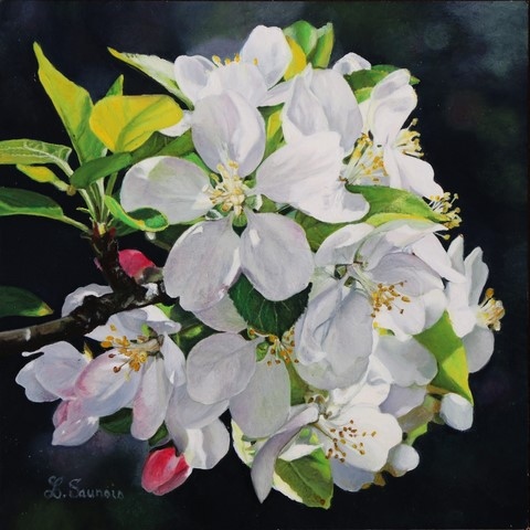 Apple blossoms painting by Laurence Saunois, Artist
