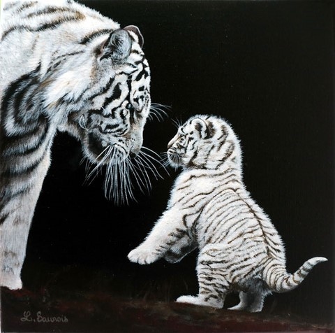 Painting of white tigers by Laurence Saunois, animal painter