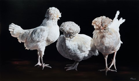 Peinture de poules par Laurence Saunois, peintre animalier