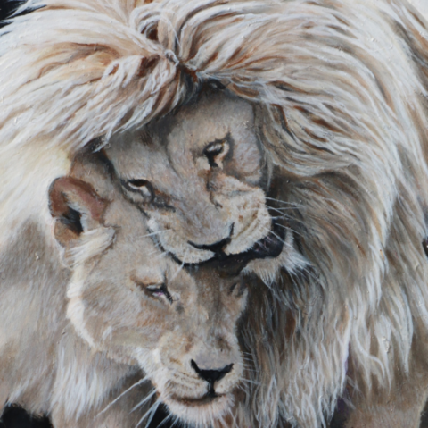  Miniature painting of a cuddling white lion couple by wildlife artist Laurence Saunois
