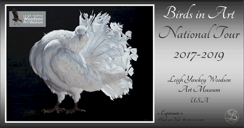 Birds in Art 2017 - Leigh yawkey Woodson Art Museum - Laurence Saunois, artiste peintre animalier