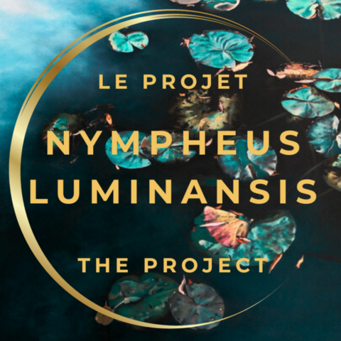 Projet "Nympheus Luminansis" de l'artiste Laurence Saunois