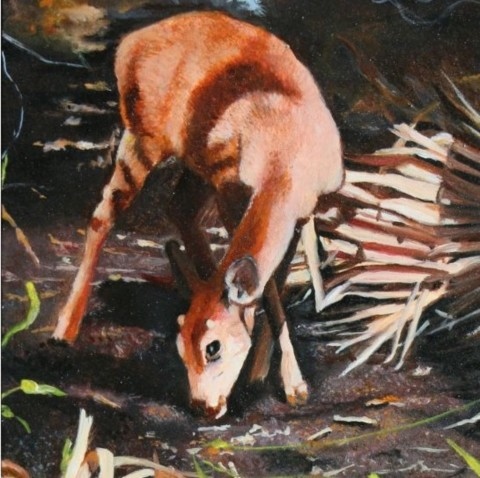 Tableau miniature d'un daim en Floride dans les Everglades