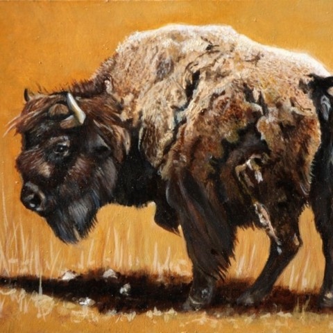 Peinture miniature de bison d'Amérique par Laurence Saunois, artiste animalier