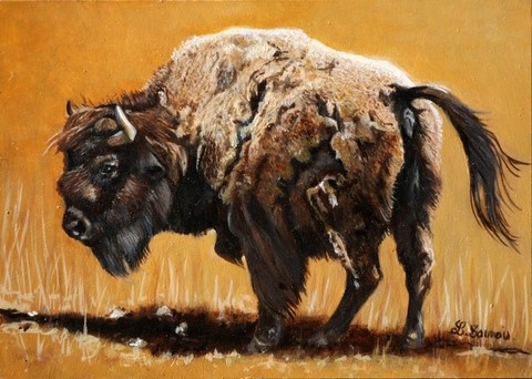 Peinture de bison d'Amérique : peintre animalier Laurence Saunois