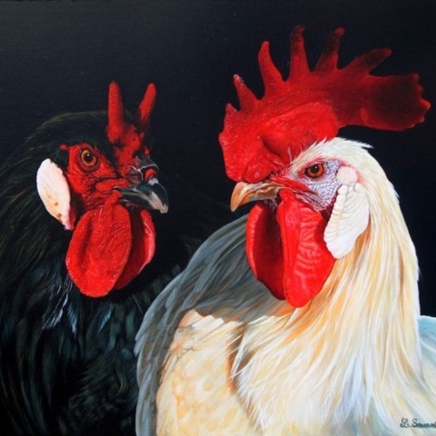  Oil painting of heritage breed roosters by wildlife artist Laurence Saunois  