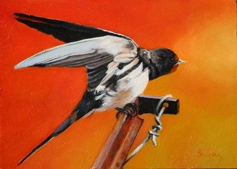 Miniature painting : swallow - wildlife artist Laurence Saunois