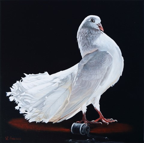 Peinture de pigeon blanc par Laurence Saunois, artiste peintre animalier