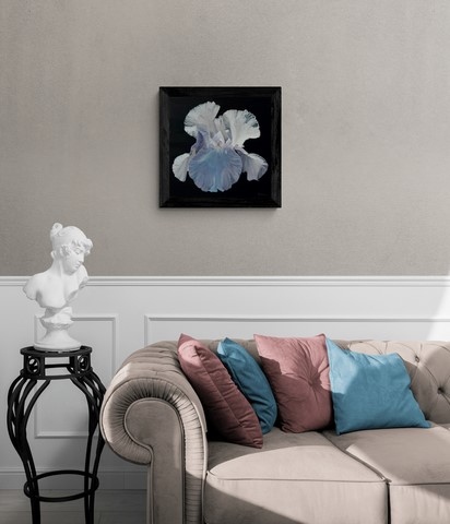 Peinture d'iris blanc encadré, dans un salon, par la peintre animalier Laurence Saunois