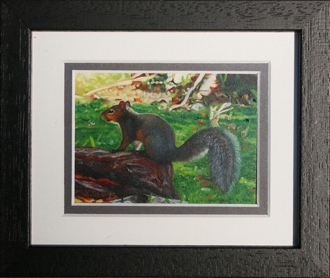 Peinture miniature encadrée d'un écureuil de Floride par Laurence Saunois, peintre animalier