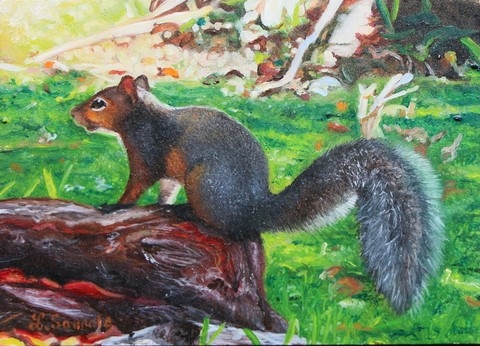 Peinture miniature d'un écureuil de Floride par Laurence Saunois, peintre animalier