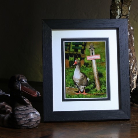 Miniature oil painting of a goose in front of a drinking water post by wildlife artist Laurence Saunois 