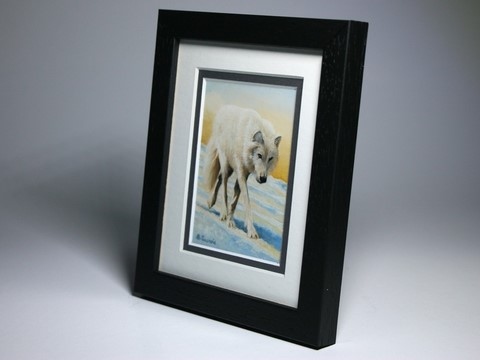 Peinture de loup arctique (encadrée, de côté) : peintre animalier Laurence Saunois