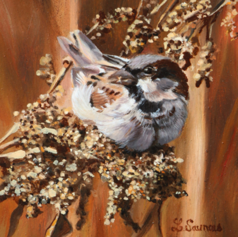 Tableau miniature à l'huile d'un moineau et de millet - Laurence Saunois, peintre animalier