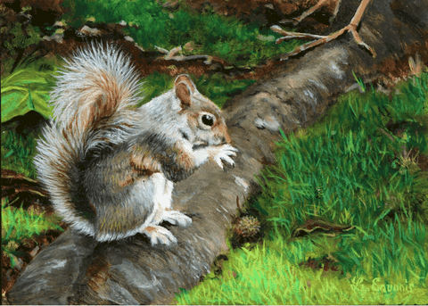 Squirrel miniature painting - animal artist Laurence Saunois