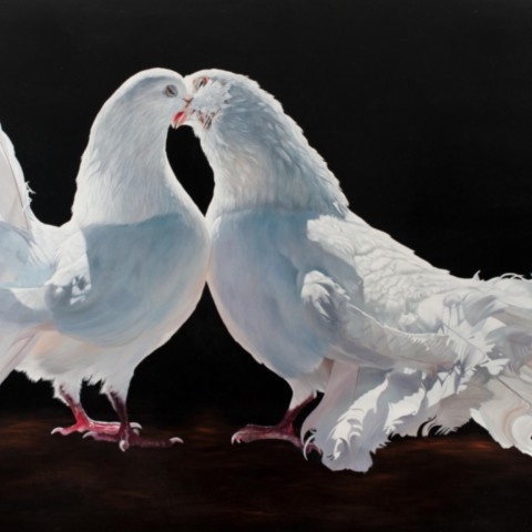 Peinture de pigeons blancs qui s'embrassent par Laurence Saunois, artiste