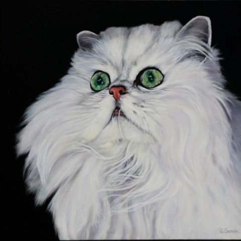 White Persian cat portrait painting by wildlife artist Laurence Saunois