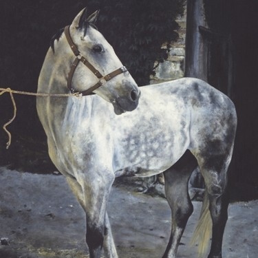  Oil painting of a tethered horse by wildlife artist Laurence Saunois
