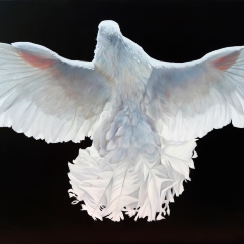 Peinture de pigeon blanc les ailes déployées par Laurence Saunois,  peintre animalier
