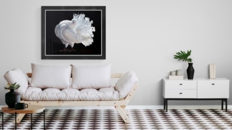 Tableau de pigeon blanc dans un salon