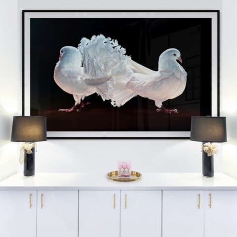 Tableau de pigeons blancs en situation au dessus d'une tablette avec des lampes