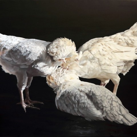 Peinture de trois poules blanches par Laurence Saunois.