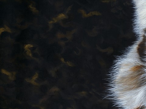 Tableau : tigre blanc (détail du fond or) : peintre animalier Laurence Saunois
