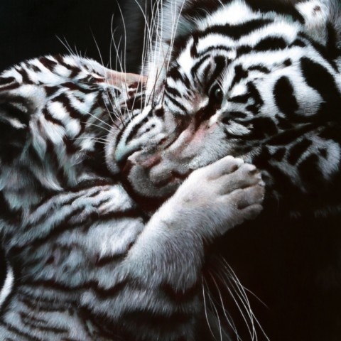 Peinture d'une tigresse avec son petit sur fond noir - peintre animalier Laurence Saunois