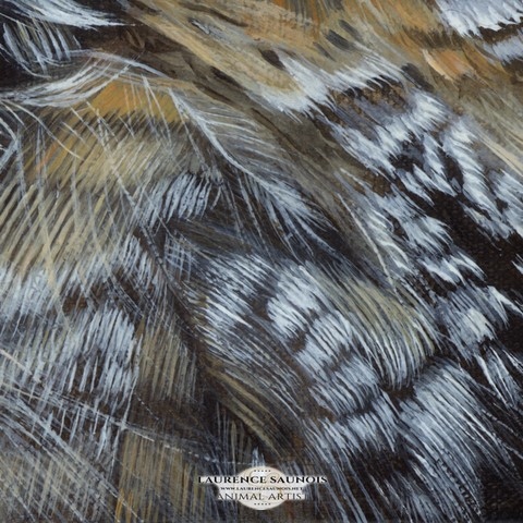 Détails d'une peinture de plumes : peintre animalier, Laurence Saunois