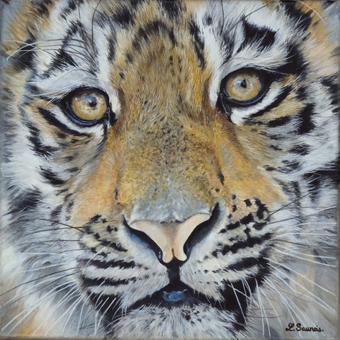 Tiger painting by Laurence Saunois, wildlife artist