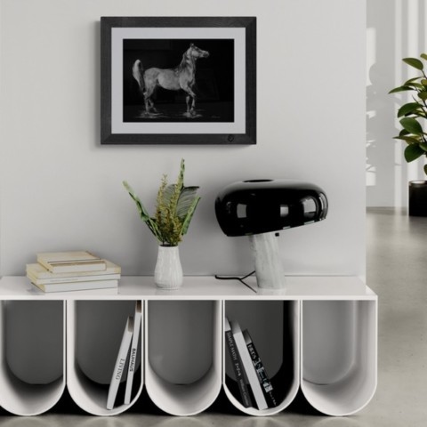 Framed scratchboard of a horse displayed above a piece of furniture – wildlife artist Laurence Saunois