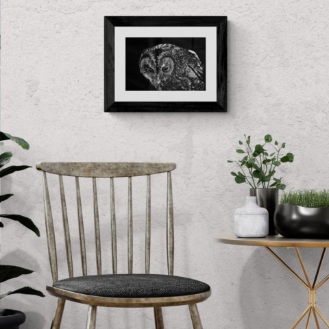“Scratchboard of an owl displayed above a chair – wildlife artist Laurence Saunois