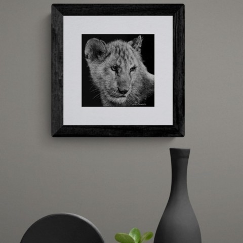 Scratchboard of a lion cub in a staged interior setting – wildlife artist Laurence Saunois