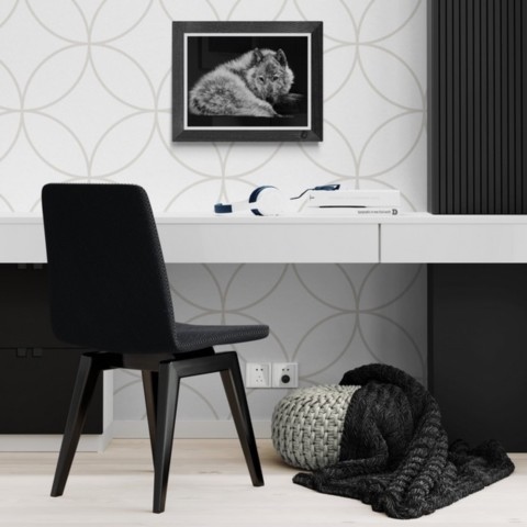 Scratchboard of a white wolf lying down, displayed above a desk – wildlife artist Laurence Saunois