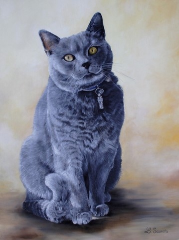 Painting of Carthusian Cat by Laurence Saunois, animal artist