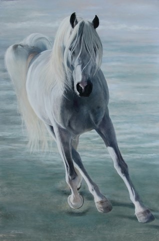 Horse - Painting by Laurence Saunois, artiste peintre animalier