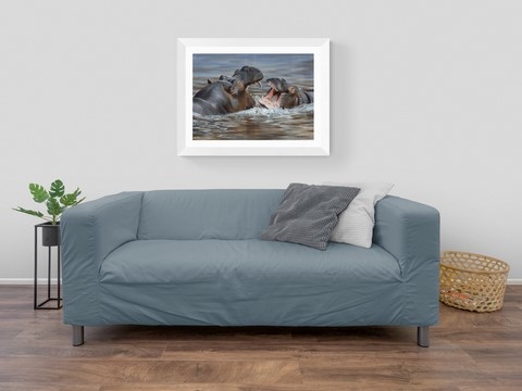 Peinture d'hippopotames et canapé ; peintre animalier Laurence Saunois