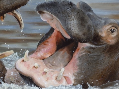 Peinture d'hippopotames (détails) par Laurence Saunois, peintre animalier