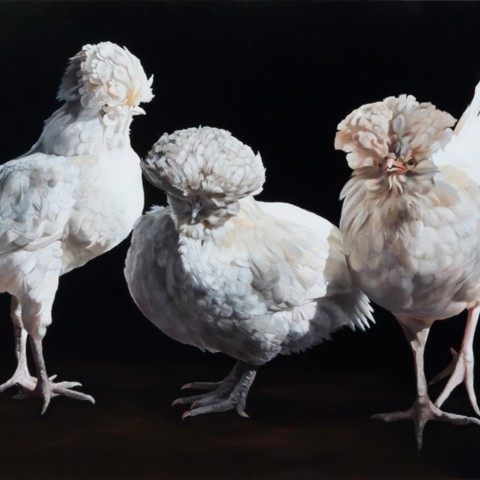 Peinture de trois poules blanches par Laurence Saunois.