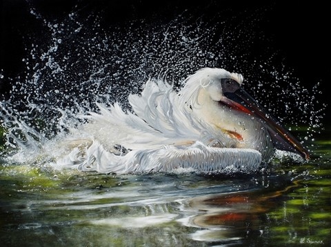 Bird painting by Laurence Saunois, wildlife artist
