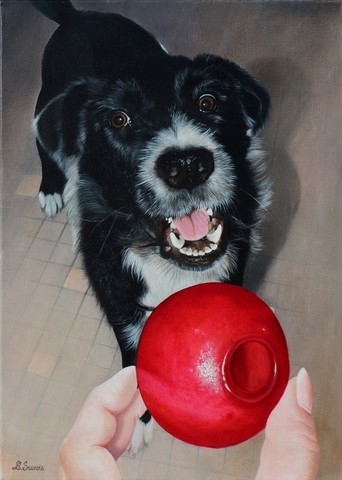 Painting of Dog Border Collie by Laurence Saunois, animal artist