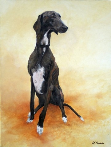 Tableau de chien de race lévrier par la peintre animalier Laurence saunois