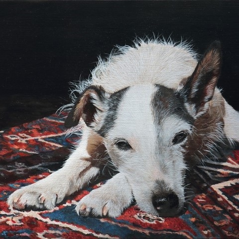 Peinture de chien sur un tapis par Laurence saunois, peintre animalier