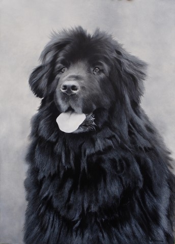 Newfoundland dog painting by the artist Laurence Saunois, animal painter