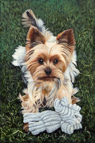 Miniature painting of a Yorshire Terrier dog by Laurence Saunois, animal artist
