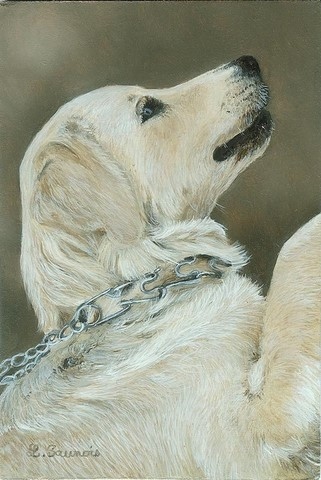Miniature painting of Golden Retriever dog by the painter Laurence Saunois